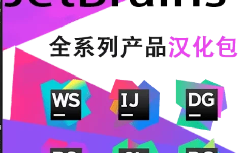 JetBrains中文语言包插件2022.3.x/2024.1.x