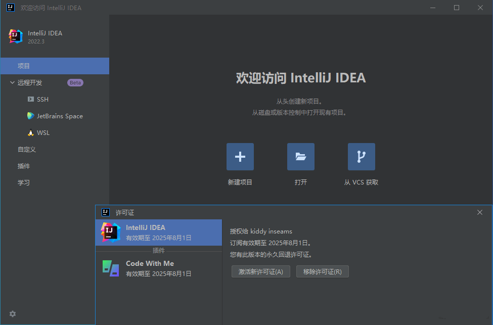 JetBrains IntelliJ IDEA 2022.3.3 (IDEA2022中文激活版)